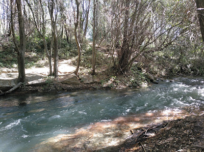 Sendero del Genil