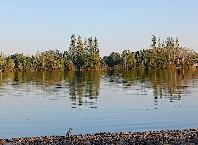 Binsfeldsee