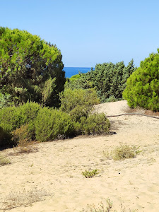 Playa del Calé