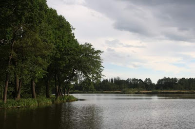 Staw Hutnik