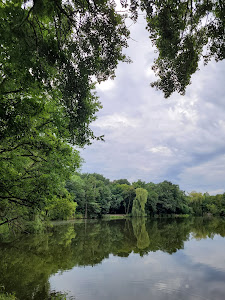 Staw Borusa