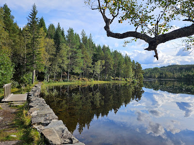Lauvtjønna