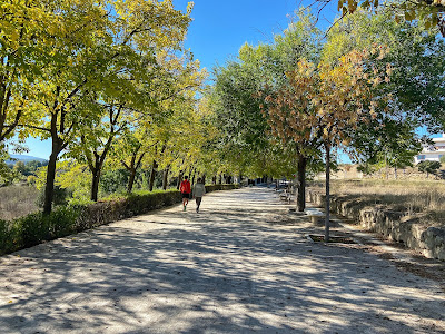 Camino del Huerto