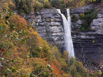 Gorbeia Natural Park