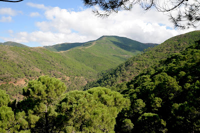 Paraje Natural Los Reales de Sierra Bermeja