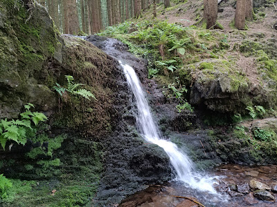 Wasserfall am Schilfwasser