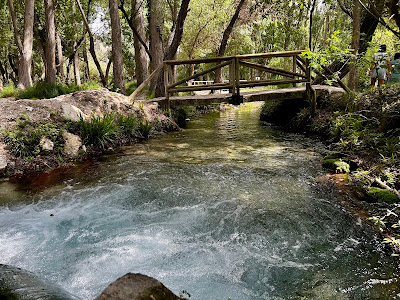 Rio Guadalentin (Peralta)
