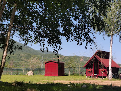 Balta Roșie