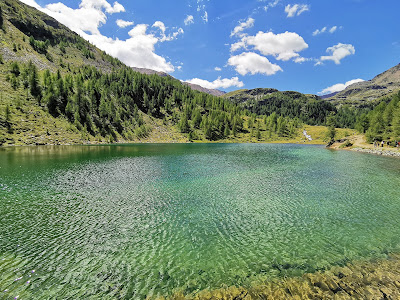 Fischersee