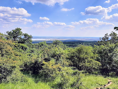 Velence Hills