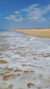 Playa de la Flecha de Nueva Umbría