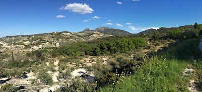 Bañizuela Forest
