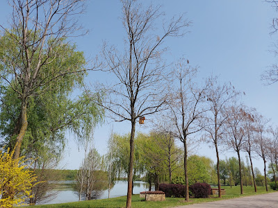 Parcul Dendrologic