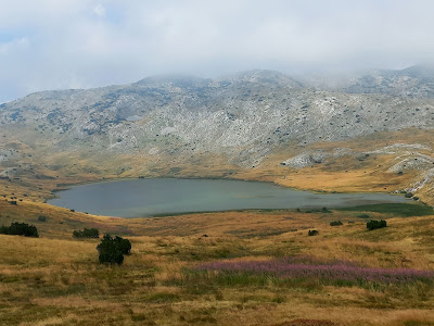 Zelengora