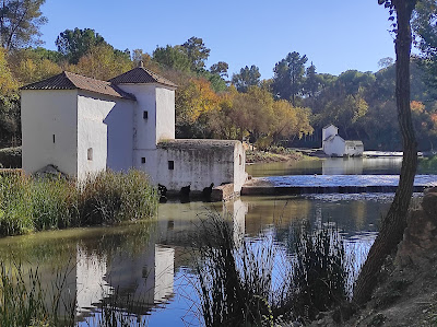 Oromana Park