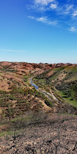 Caminho da Amendoeira
