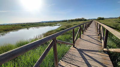 Reserva Natural de la Laguna de Fuente de Piedra