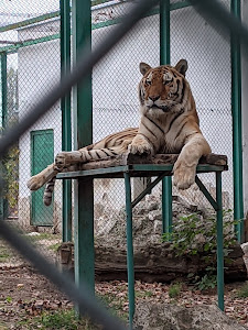 Zoo Pazardzhik