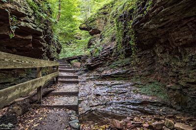 Seltenbachschlucht