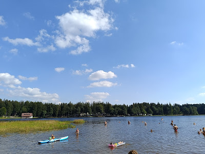 Rybník Sykovec