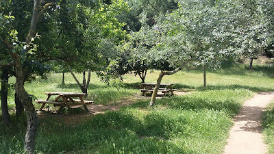 Zona Picnic Barberà - Can Llobateres
