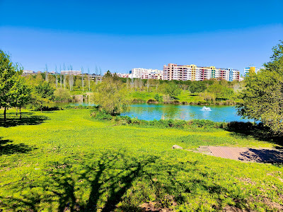 Lago do Parque da Paz (Lago dos Patos)