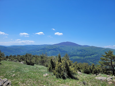 Goč