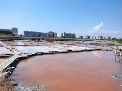Salt Museum