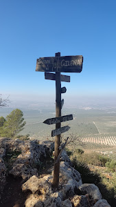 Mirador de la Acebuchosa