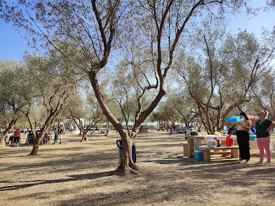 Parque Los Olivos