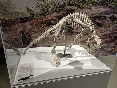 Museo de Ciencias Naturales de la Universidad de Zaragoza