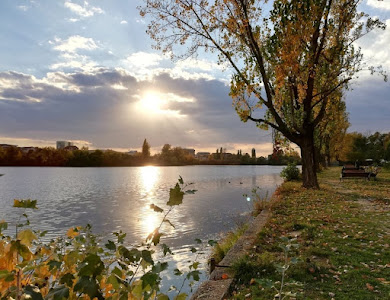 Lacul Băneasa