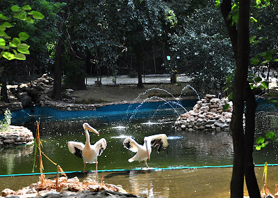 Varna Zoo