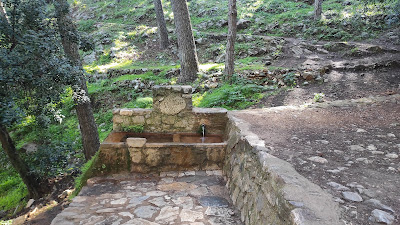 Sendero Fuente Del Acebuche