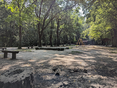Miejsce biwakowe, ognisko