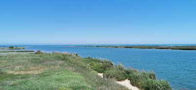 Platja dels Eucaliptus