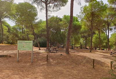 Área Recreativa Los Pinares de Aznalcázar - Puebla del Río