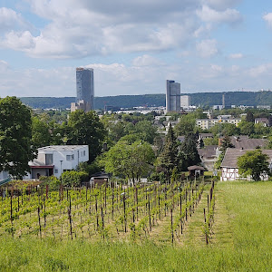 Aussichtspunkt Finkenberg