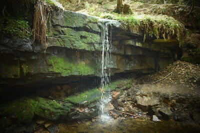 Amselfall (Wasserfall)