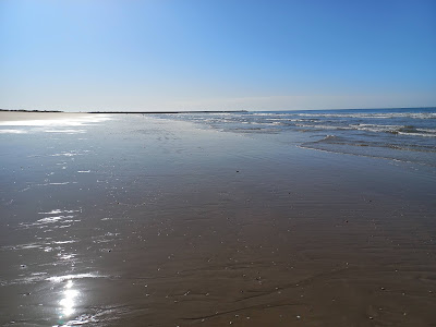 Praia da Ponta da Areia