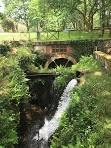 Área recreativa De Pedra Vixia