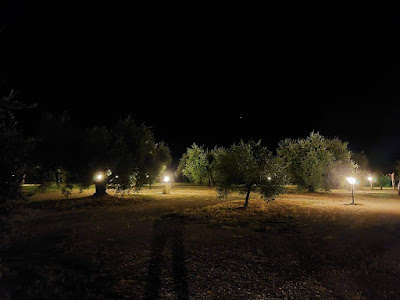 Agrisosta - L'Isola degli Ulivi