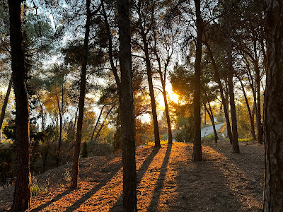 El Morlaco Park