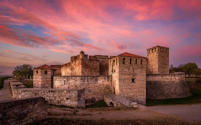 Cetatea Baba Vida