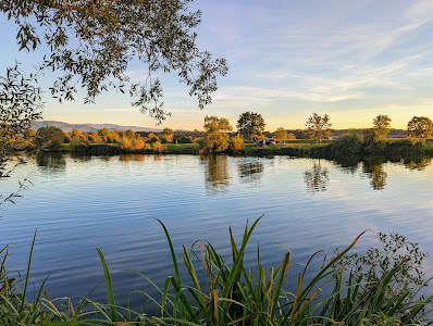 Altdorfsee Kollmarsreute