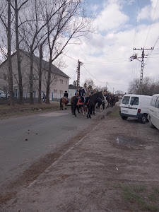 Nagykátai Gyógyfürdő és Egyéb Szolgáltató Kft.