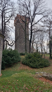 Zamek Cieszyn