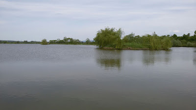 Balta de la Coas