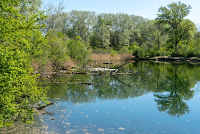 Lobau