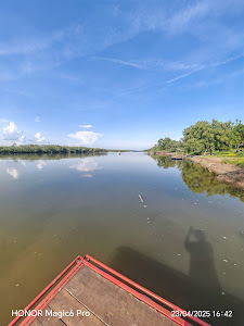 Krčedin Jasenovi